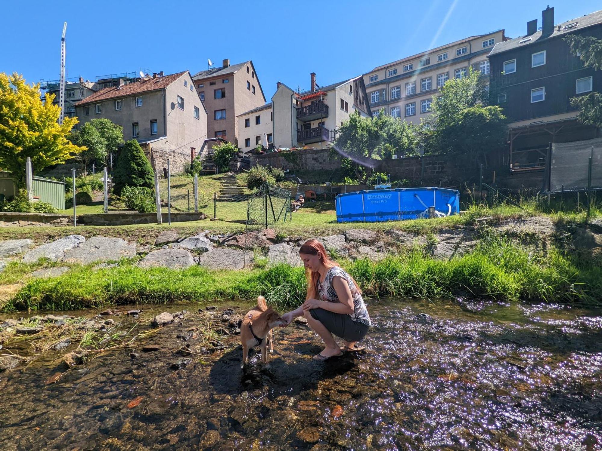 F3 Urlaubsmagie - Pool, Garten & Terrasse - 4P Sebnitz Luaran gambar