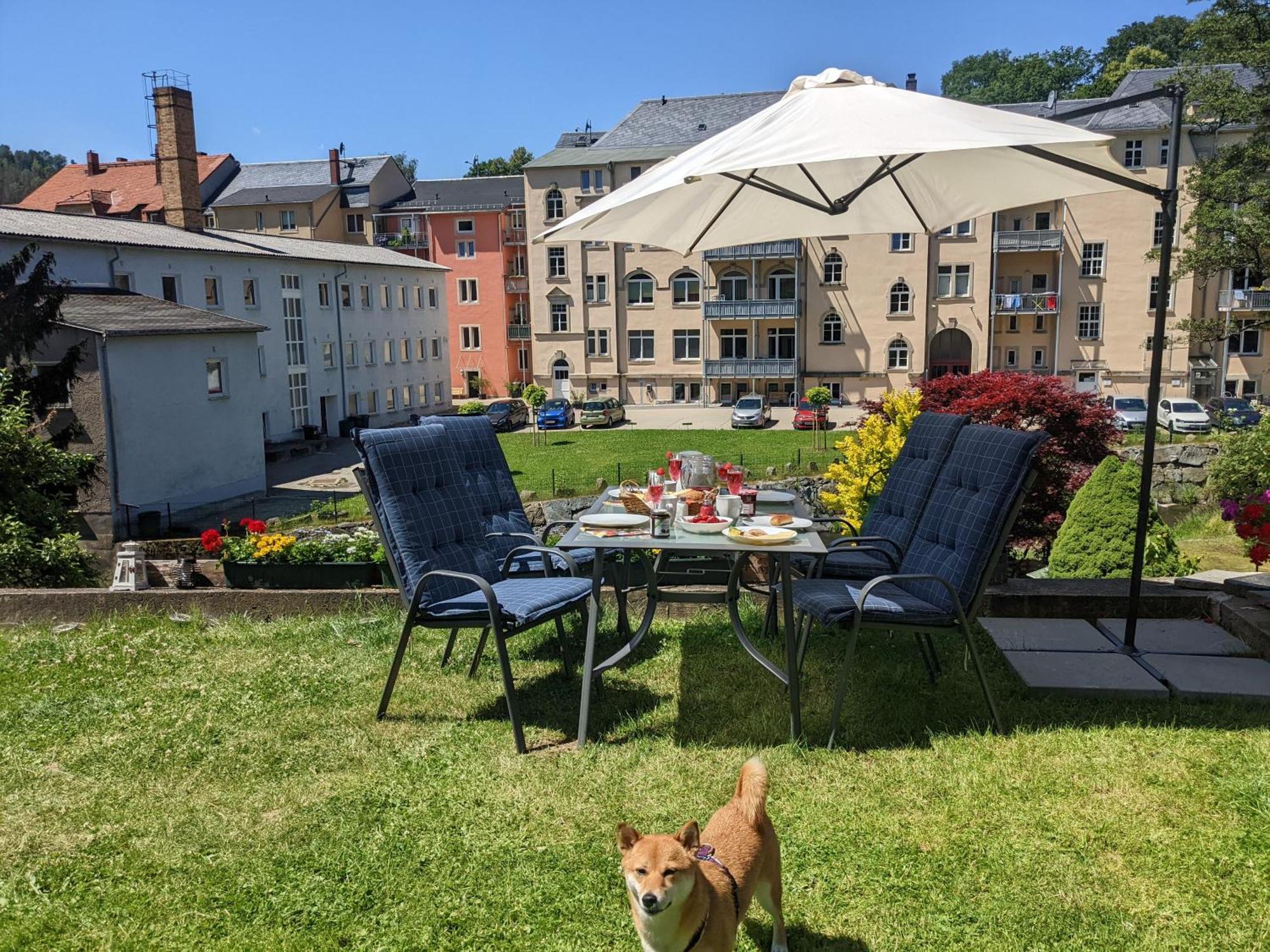 F3 Urlaubsmagie - Pool, Garten & Terrasse - 4P Sebnitz Luaran gambar