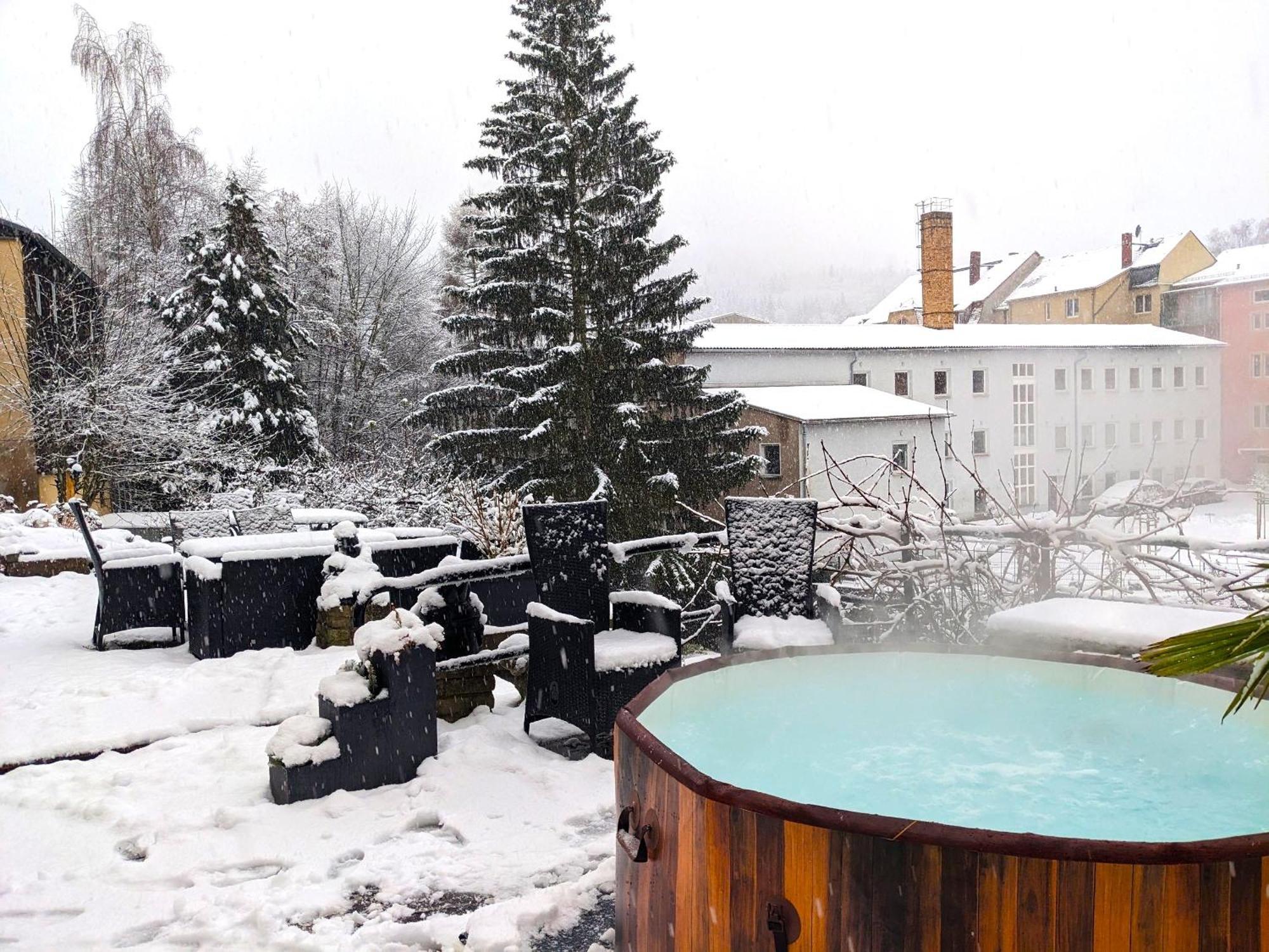 F3 Urlaubsmagie - Pool, Garten & Terrasse - 4P Sebnitz Luaran gambar