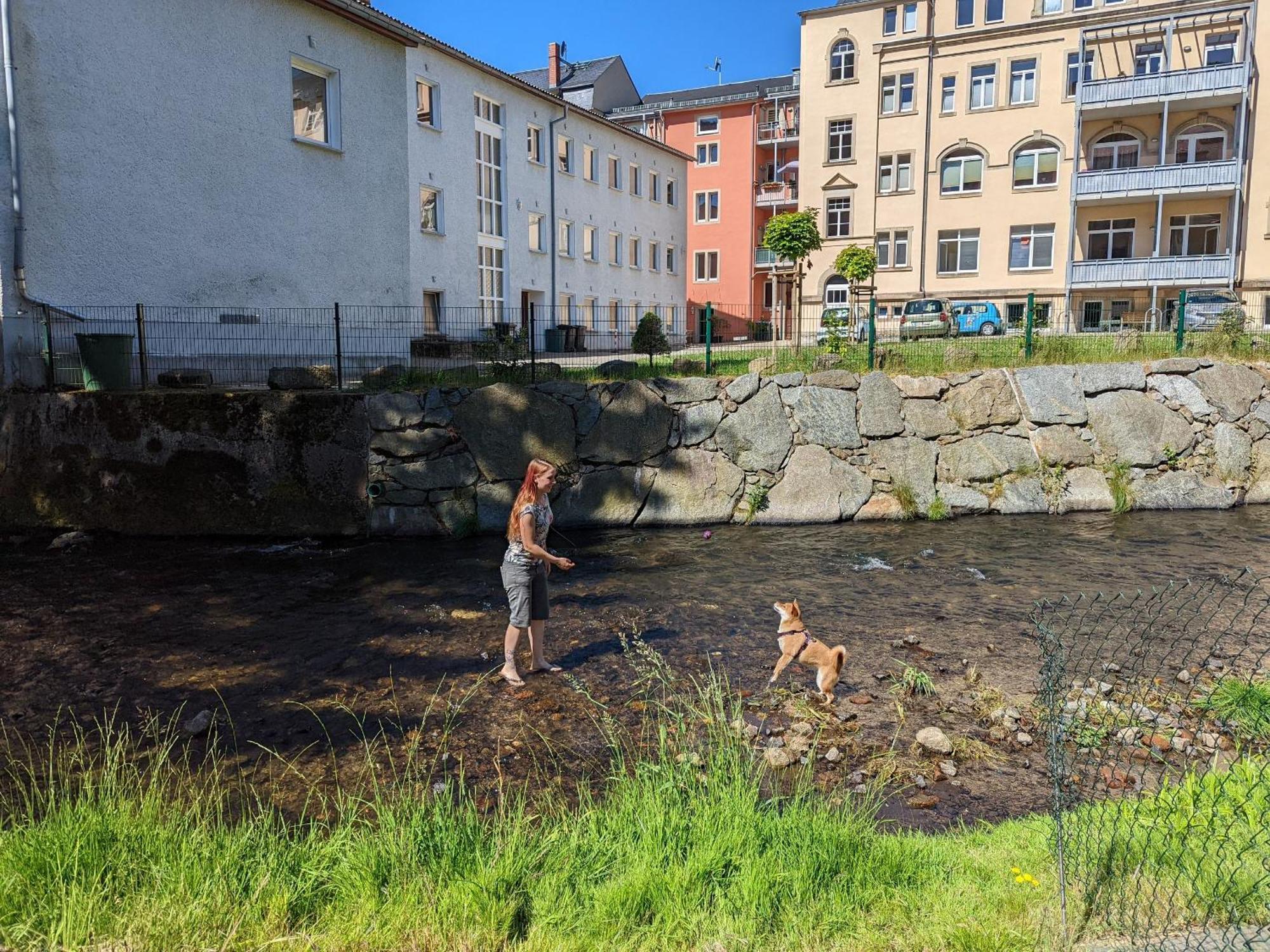 F3 Urlaubsmagie - Pool, Garten & Terrasse - 4P Sebnitz Luaran gambar