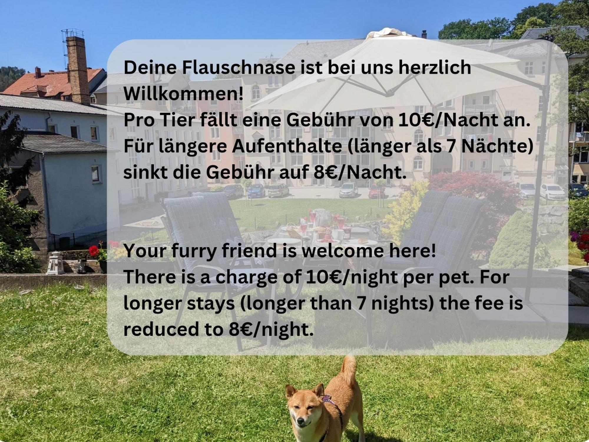 F3 Urlaubsmagie - Pool, Garten & Terrasse - 4P Sebnitz Luaran gambar